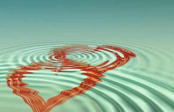 Casino Barbados Bingo Tugi